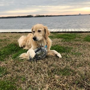 Trade as discussed💗